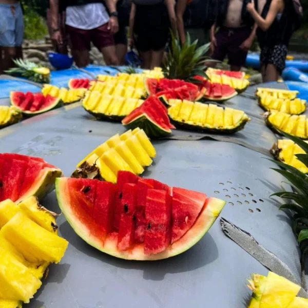 Zipline Tour Sarapiqui