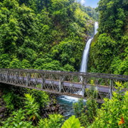Best Time of Year for Rafting in Costa Rica