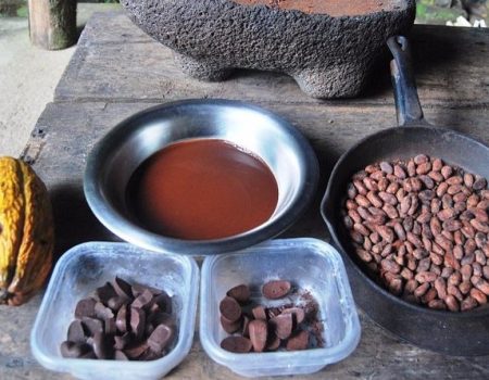Chocolate Tour Sarapiqui